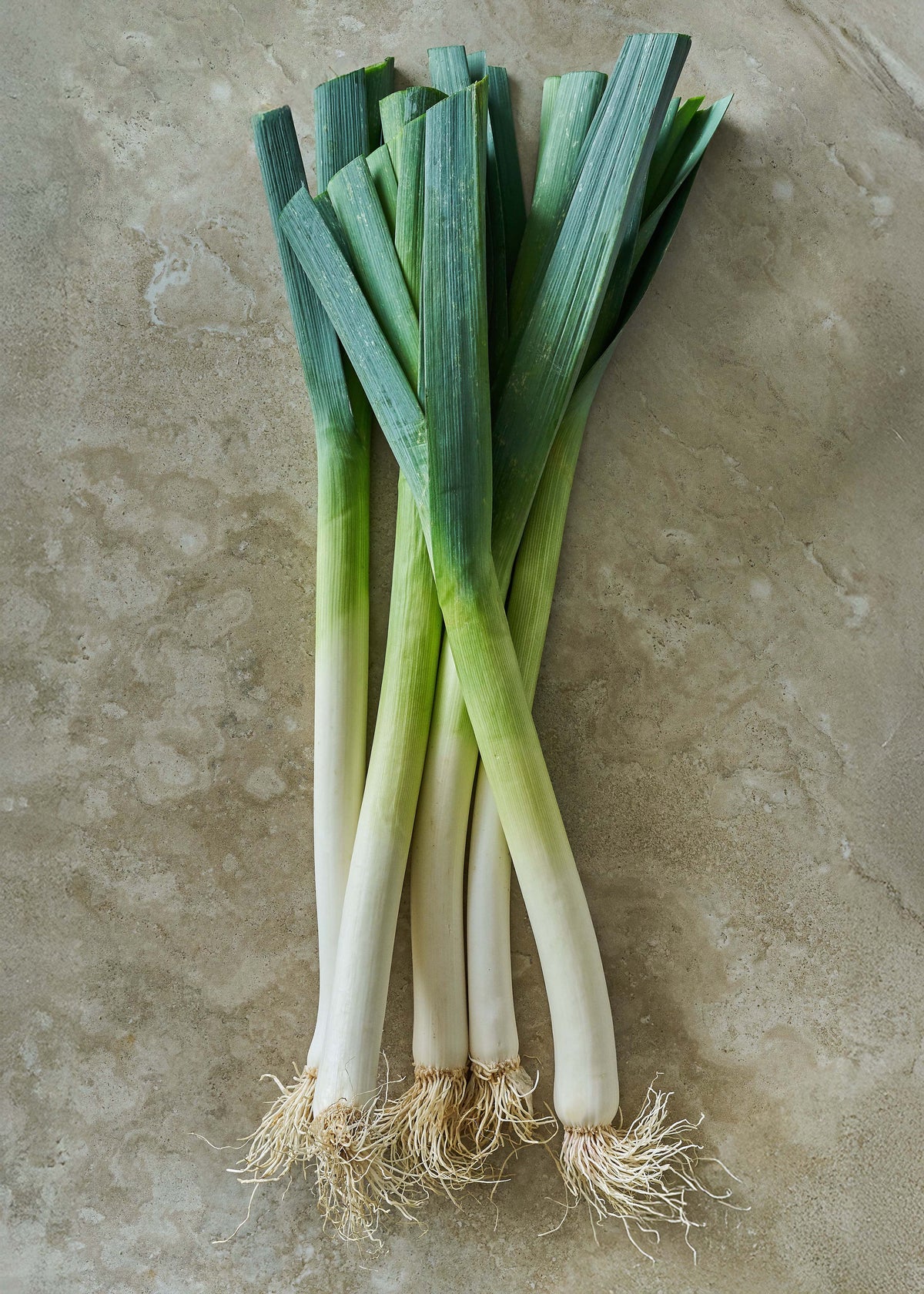 Poireau