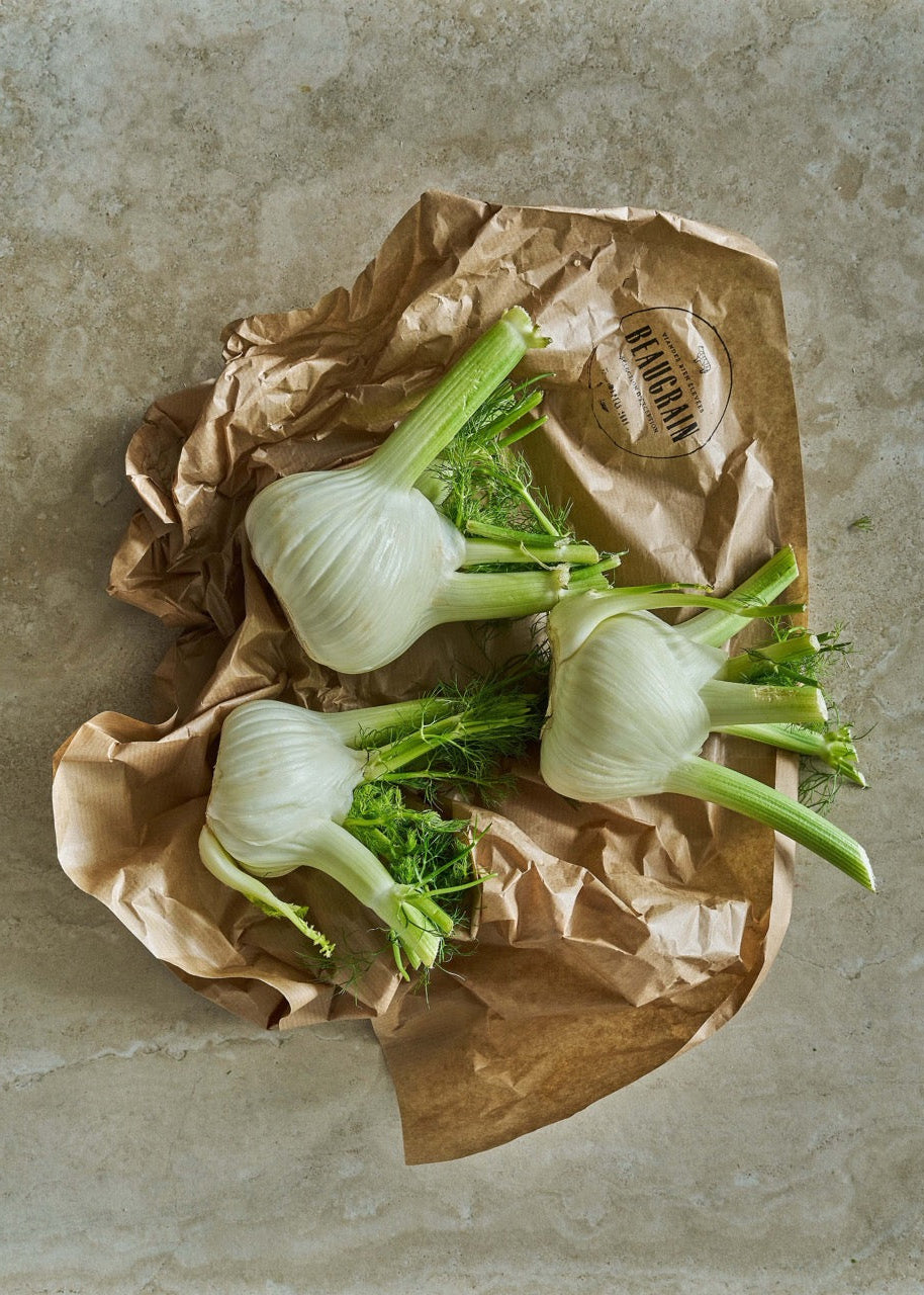 Fennel