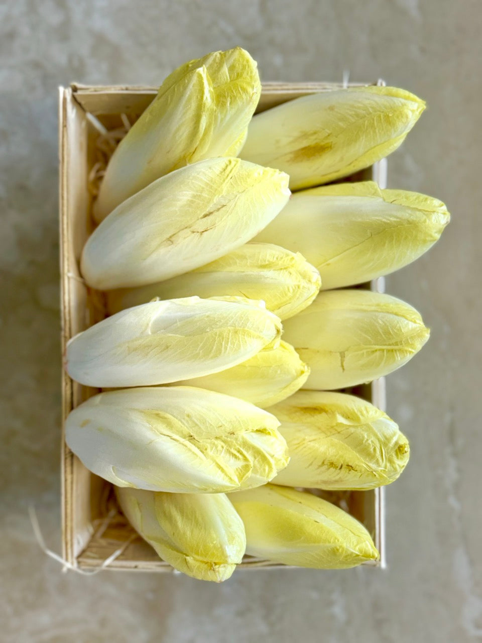 Endive